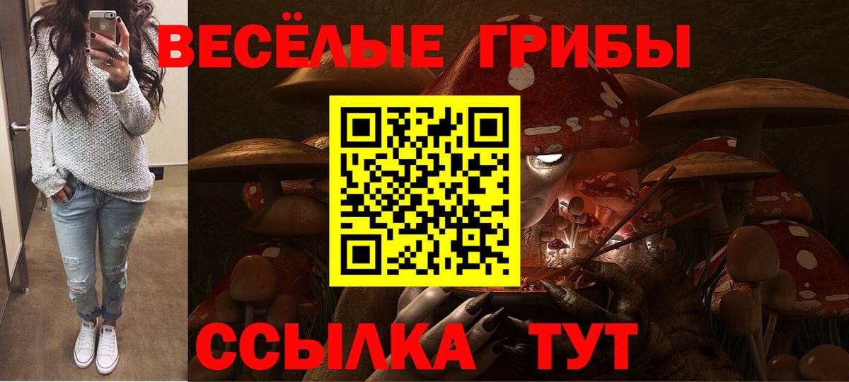 Галлюциногенные грибы ЛСД Коломна